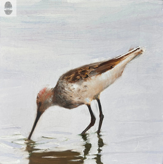 Sandpiper lintonart