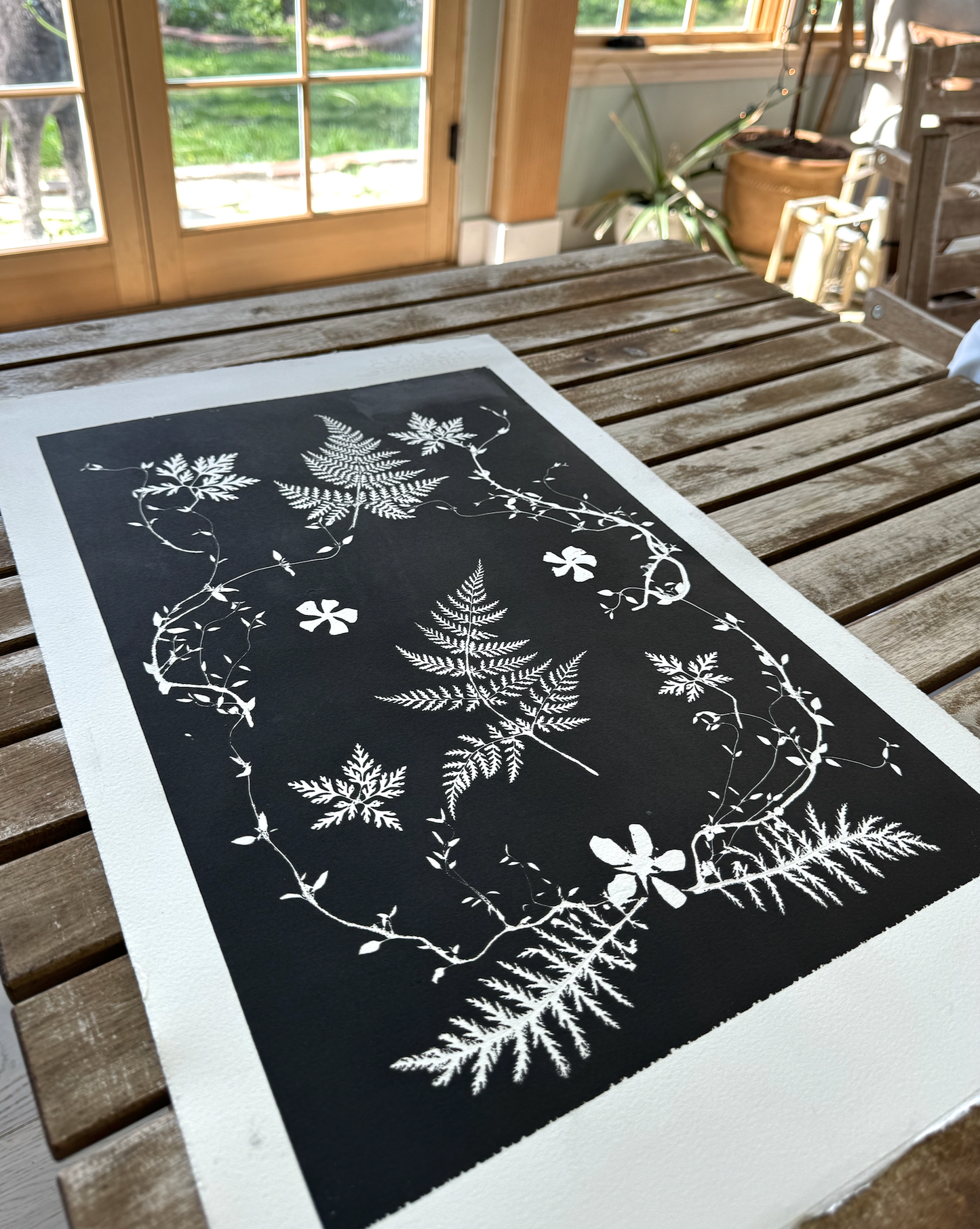 Black and White Botanical Arrangement, made from real plants. Printed on museum quality paper.