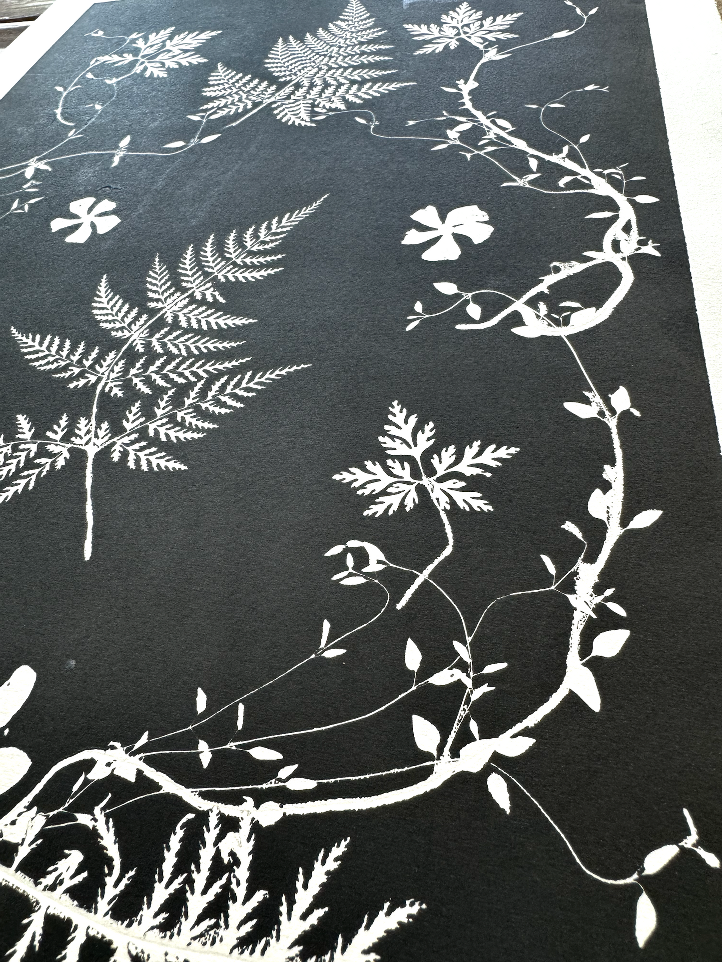 Black and White Botanical Arrangement, made from real plants. Printed on museum quality paper.