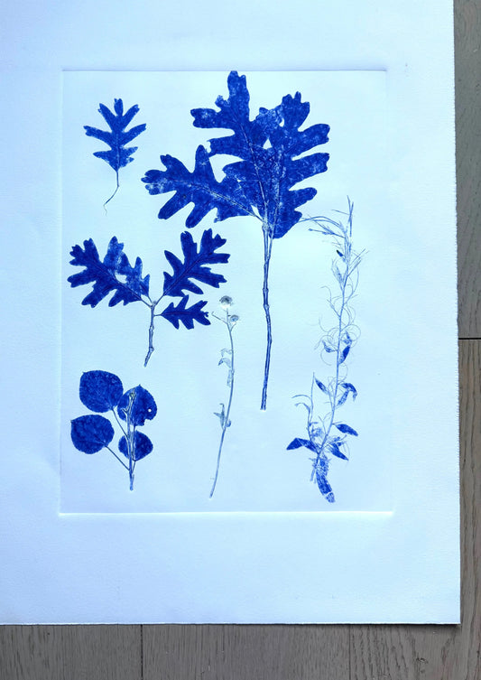 Specimen Group: Flora of Mountain Woodland, Original Monoprint, 16.5x24 inches lintonart