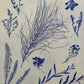 Specimen Group: Herbaceous Flora of Mountain Meadows, 18x24 inch Original Monoprint lintonart