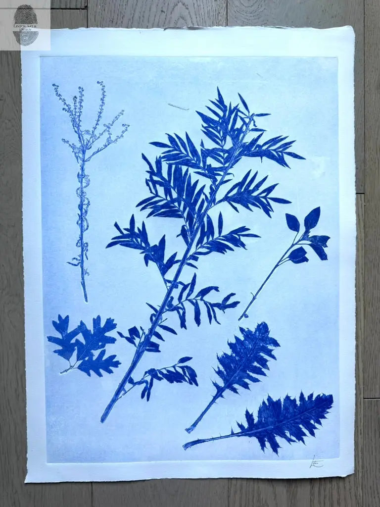 Specimen Record: Arrangement of Perennial Growth, 18x24 inch Original Monoprint (Copy) lintonart
