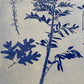 Specimen Record: Arrangement of Perennial Growth, 18x24 inch Original Monoprint (Copy) lintonart