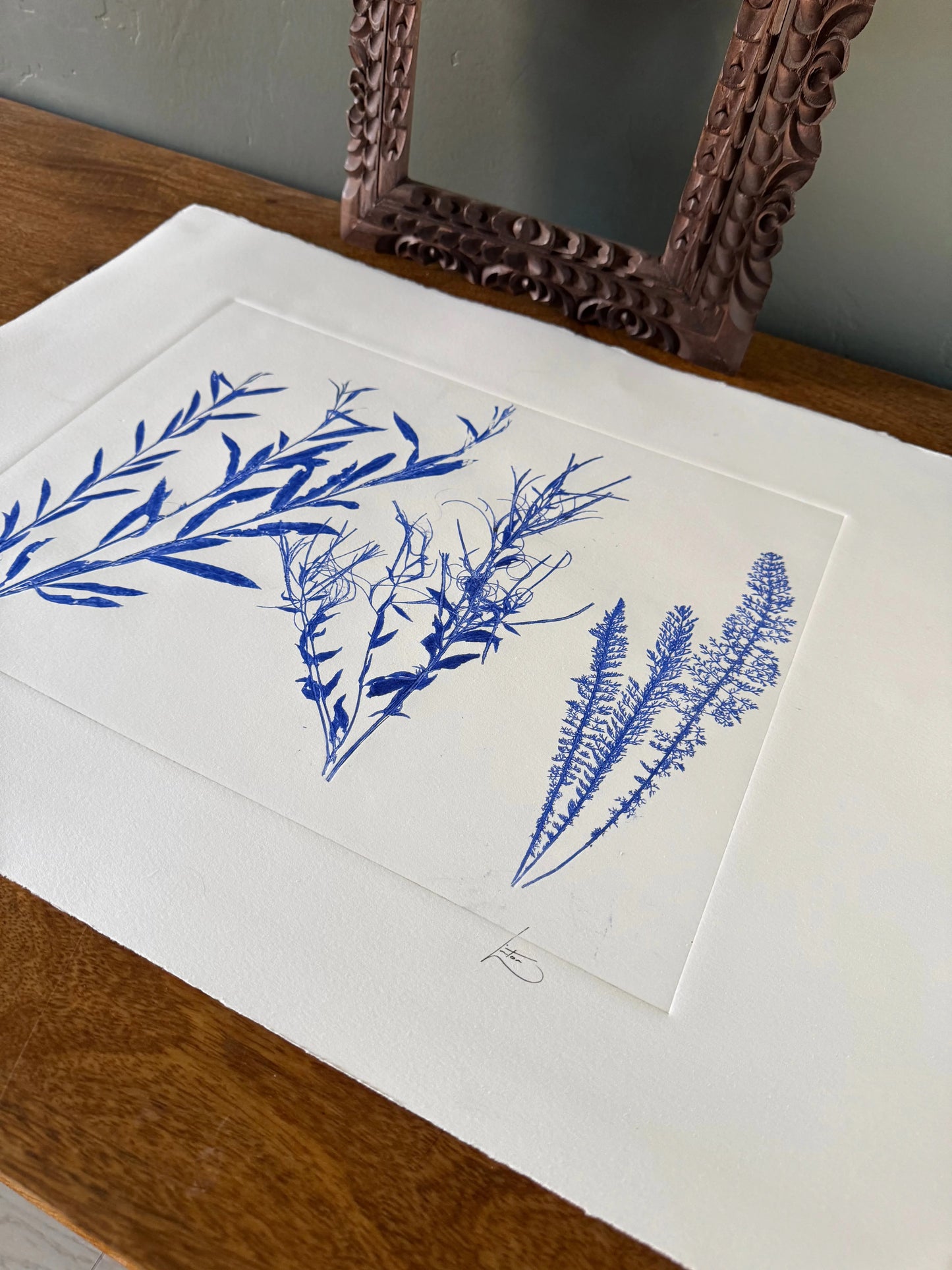 Triplicate Study of Native Flora, Original 18x24 inch Monoprint lintonart