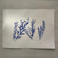 Triplicate Study of Native Flora, Original 18x24 inch Monoprint lintonart