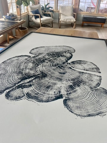 Bear Lake, Utah Pine - 24x36 inch print