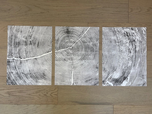 Sitka Spruce Set of 3, Cropped, Limited Edition 12x16 inches each. Hand pressed and signed.