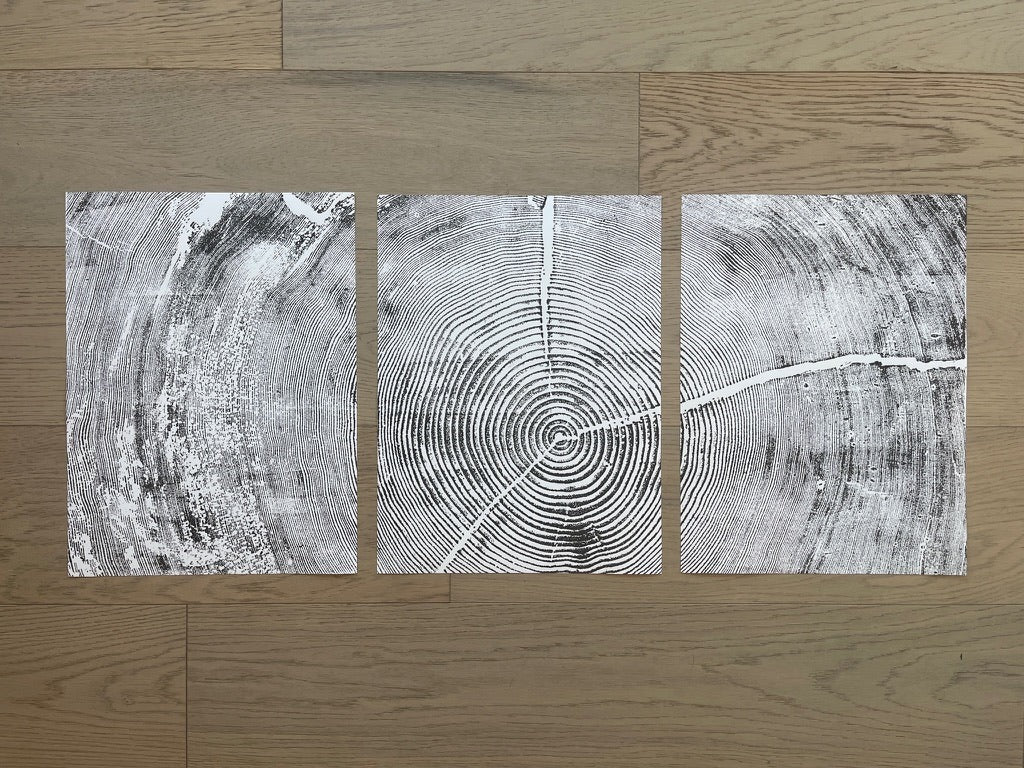 Sitka Spruce Set of 3, Cropped, Limited Edition 12x16 inches each. Hand pressed and signed.
