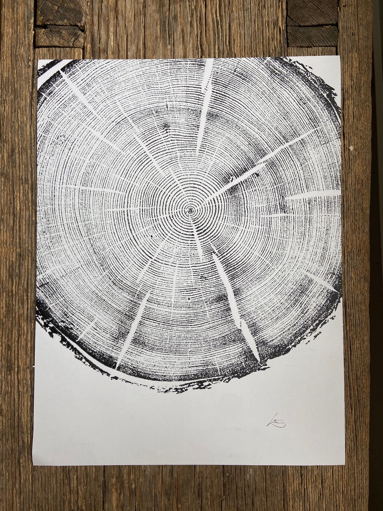 Black Hills, South Dakota, Pine Cropped Tree Ring Print, Limited Time Only, 12x16 inches, Hand-Pressed and Signed