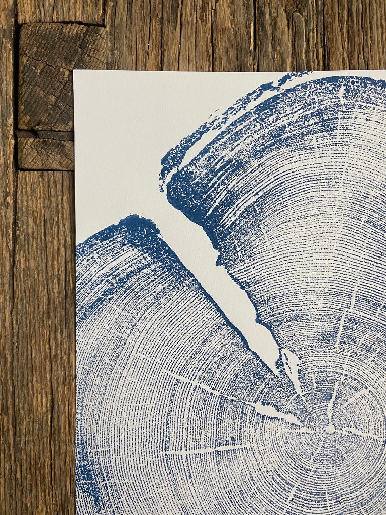 Uinta Pine in Blue, Cropped, Limited Edition 12x16 inches. Hand pressed and signed.