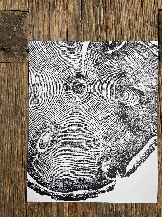 Pine, Cropped, Limited Edition 8x10 inches. Hand pressed and signed.