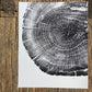 Michigan Oak, Cropped, Limited Edition 8x10 inches. Hand pressed and signed.