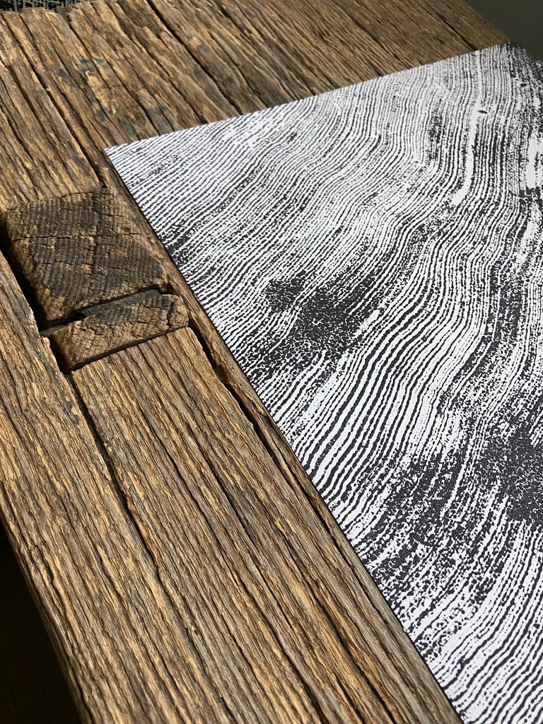 Spruce Tree Rings Detail, Cropped, Limited Edition 11x17 inches. Hand pressed and signed.