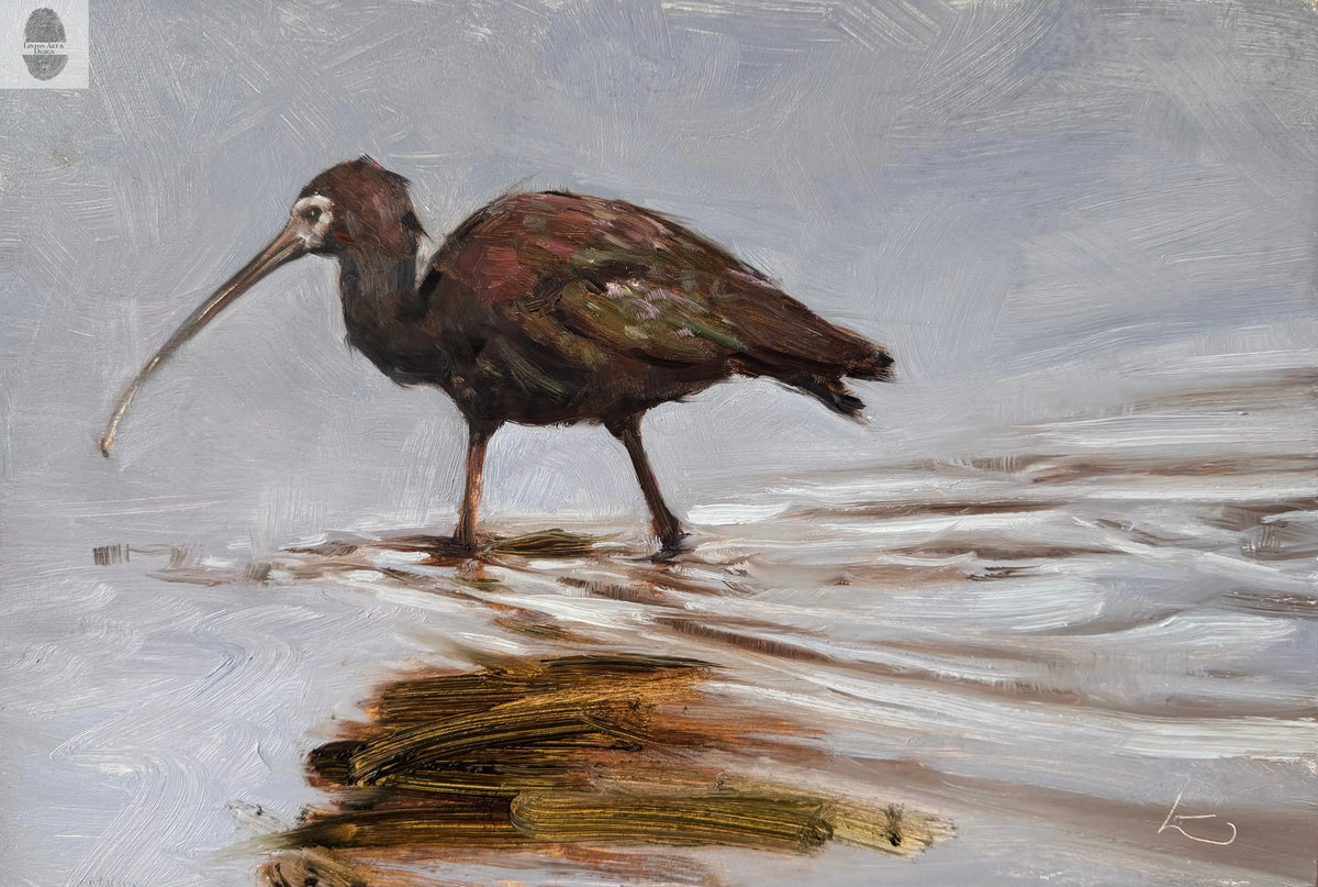White Faced Ibis lintonart