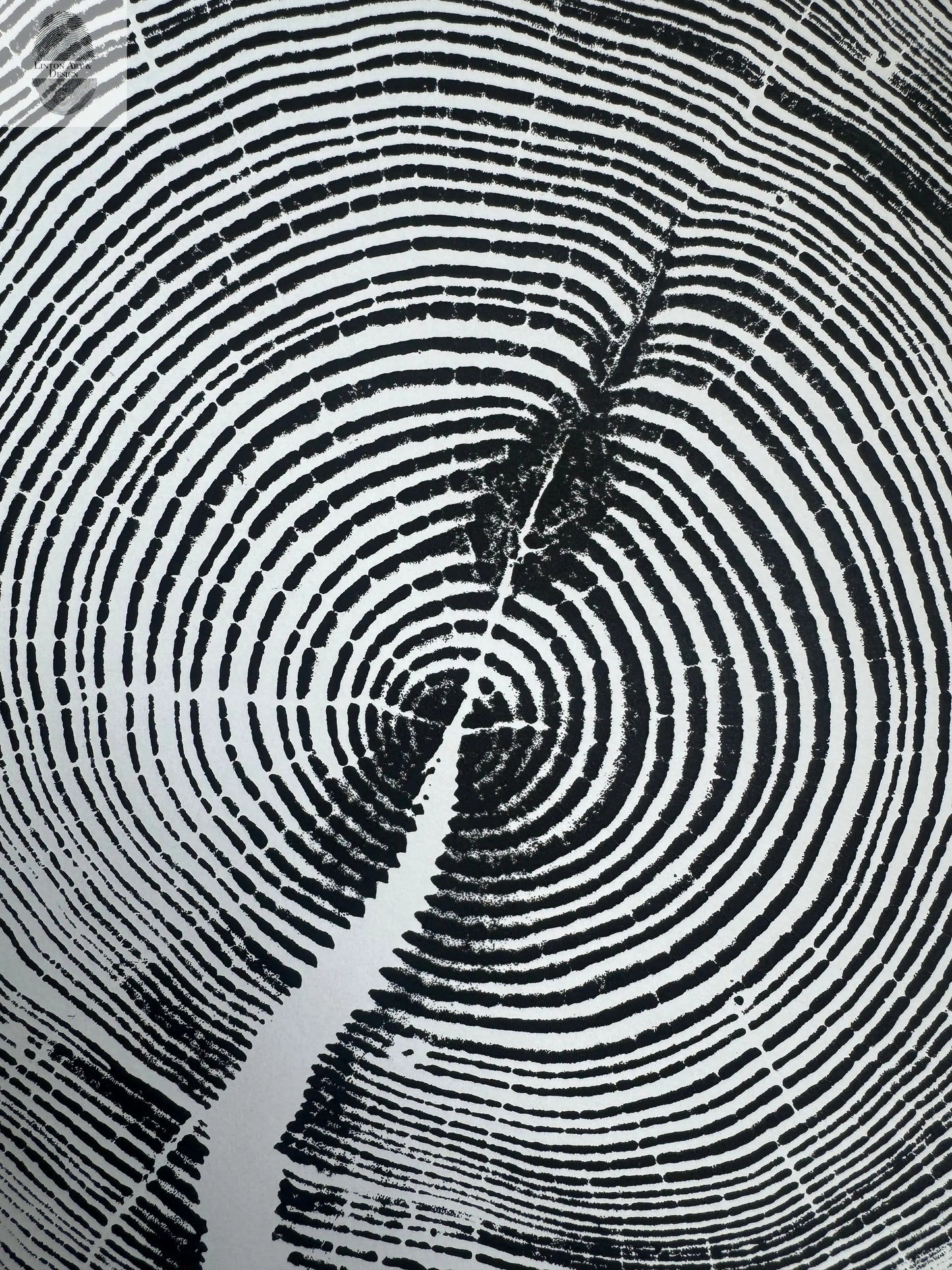 White Pine Tree Ring Impression – Taylor County, WI – 18x24 Signed Artwork lintonart