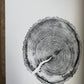 White Pine Tree Ring Impression – Taylor County, WI – 18x24 Signed Artwork lintonart