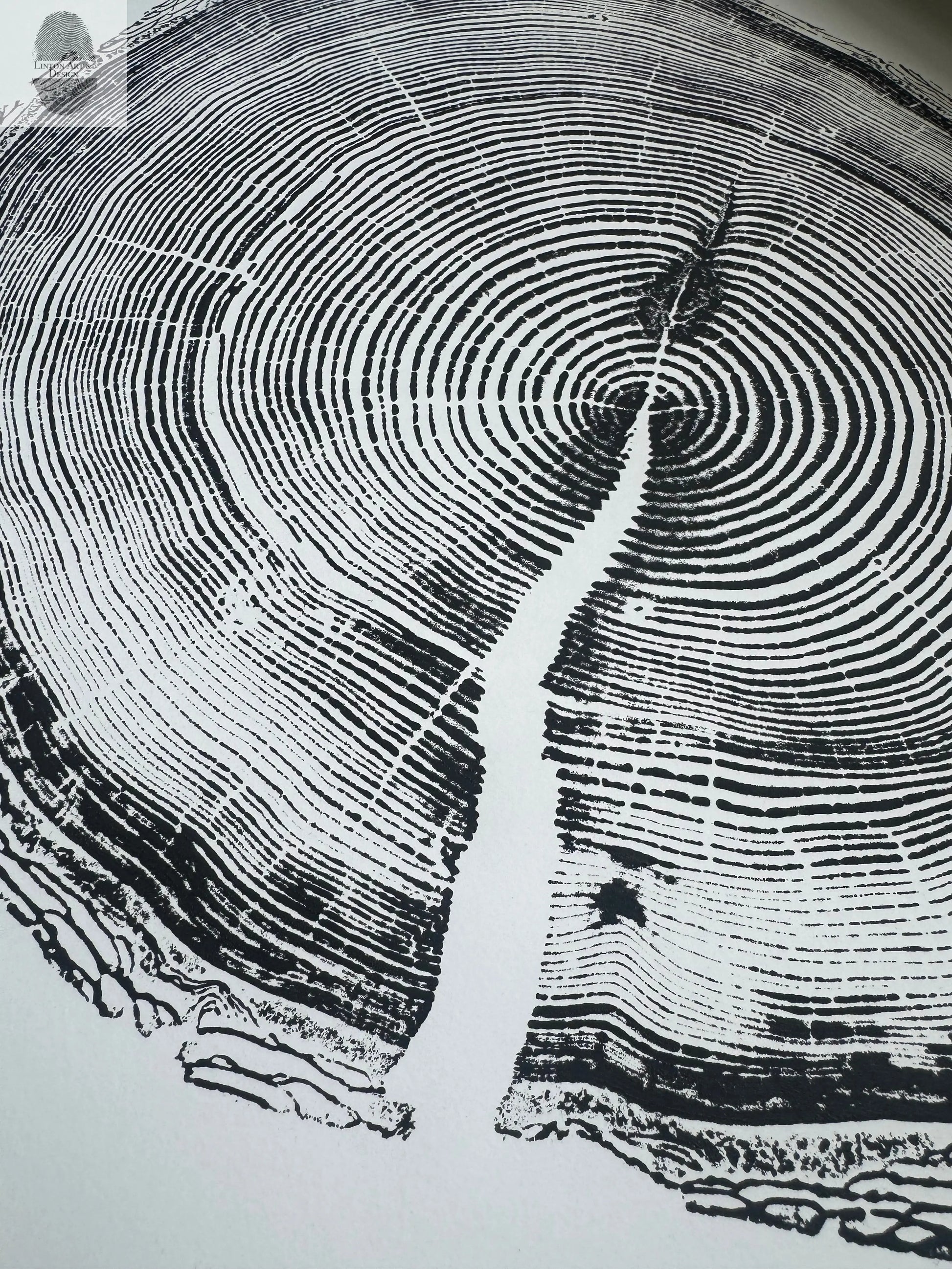 White Pine Tree Ring Impression – Taylor County, WI – 18x24 Signed Artwork lintonart