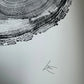 White Pine Tree Ring Impression – Taylor County, WI – 18x24 Signed Artwork lintonart