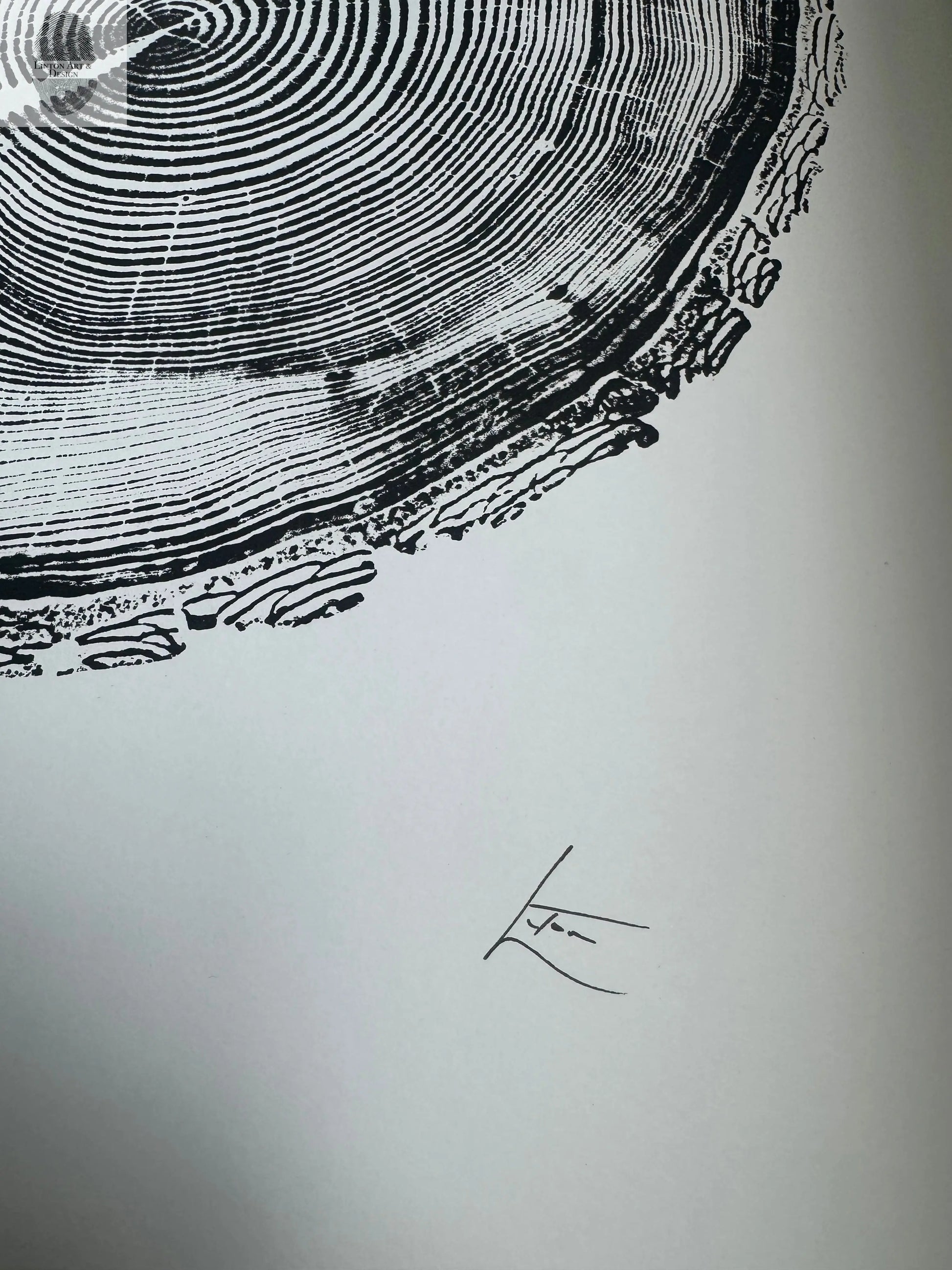 White Pine Tree Ring Impression – Taylor County, WI – 18x24 Signed Artwork lintonart