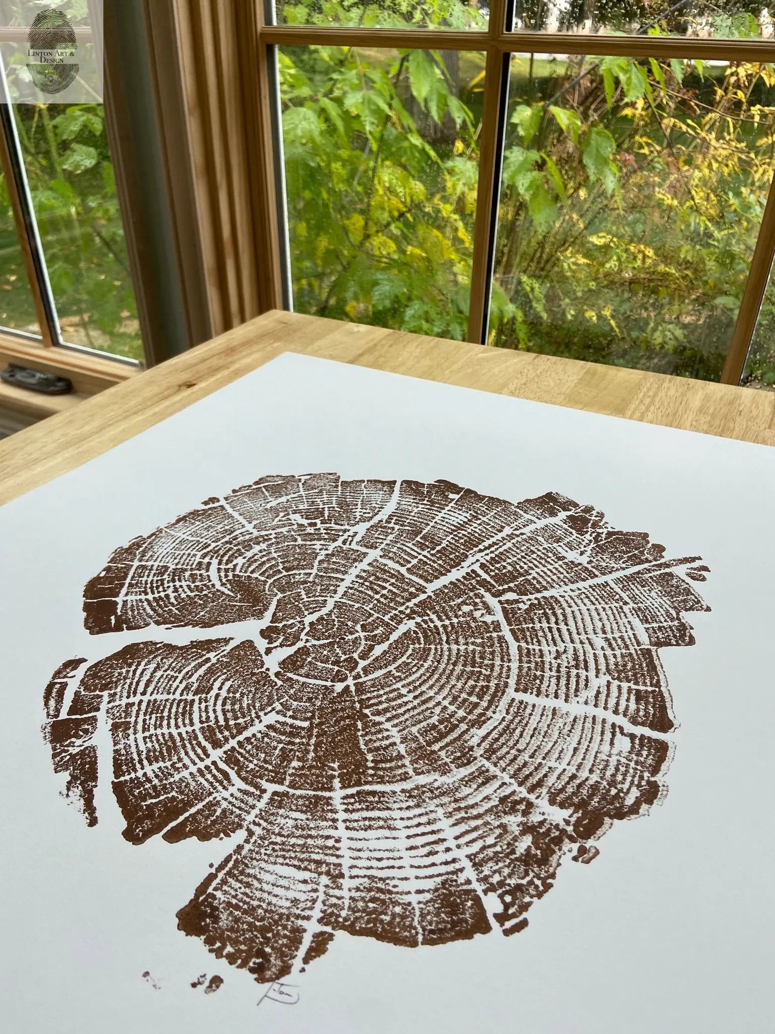 Yellowstone Tree ring print in brown ink, 11x14 inches, Hand pressed woodblock. Signed Original lintonart