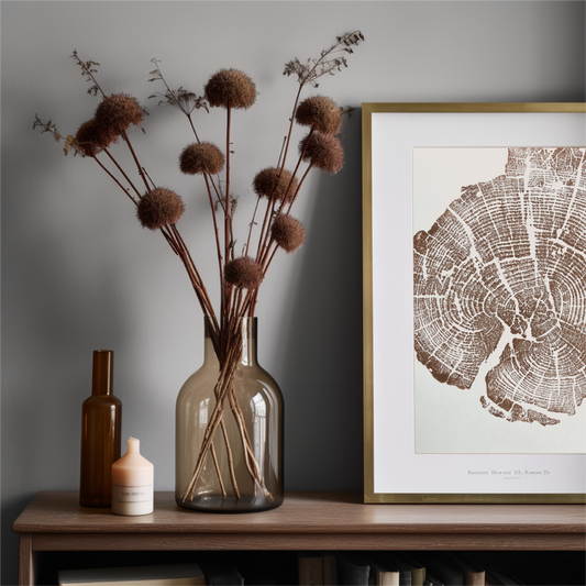 Yellowstone Tree ring print in brown ink, 11x14 inches, Hand pressed woodblock. Signed Original