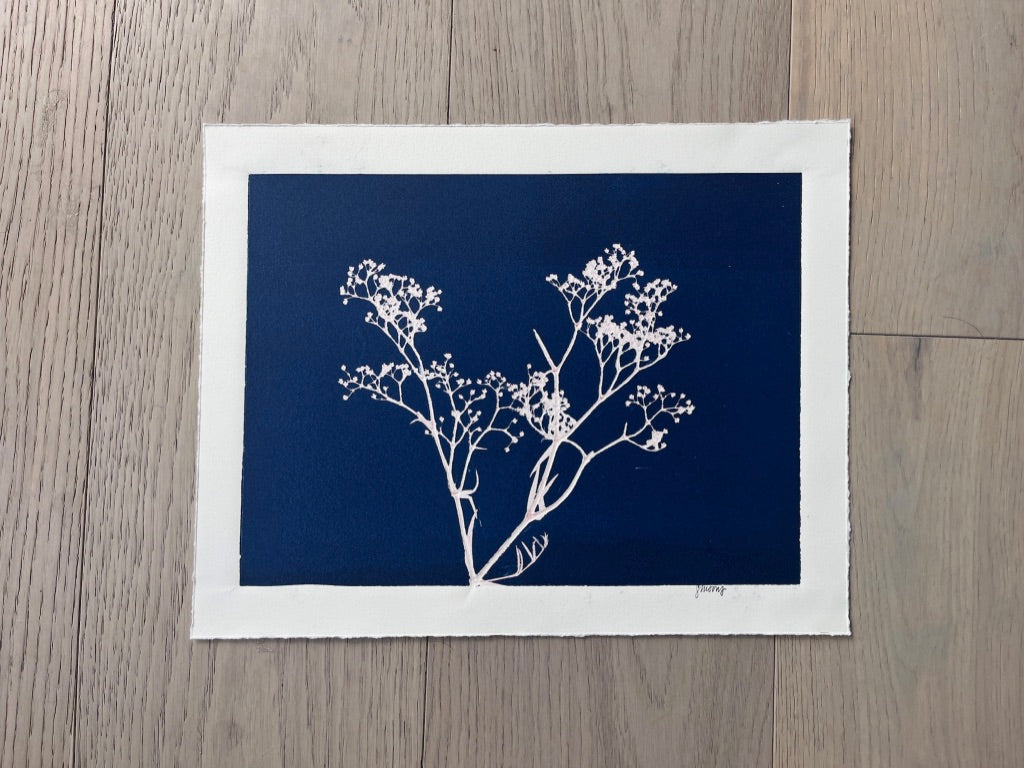 Baby's Breath Hand-Pressed Botanical Monotype on Navy Blue - Original Print 11x14 inches