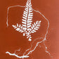 Fern & Roots Hand-Pressed Botanical Monotype on Copper Red - Original Print 11x14 inches