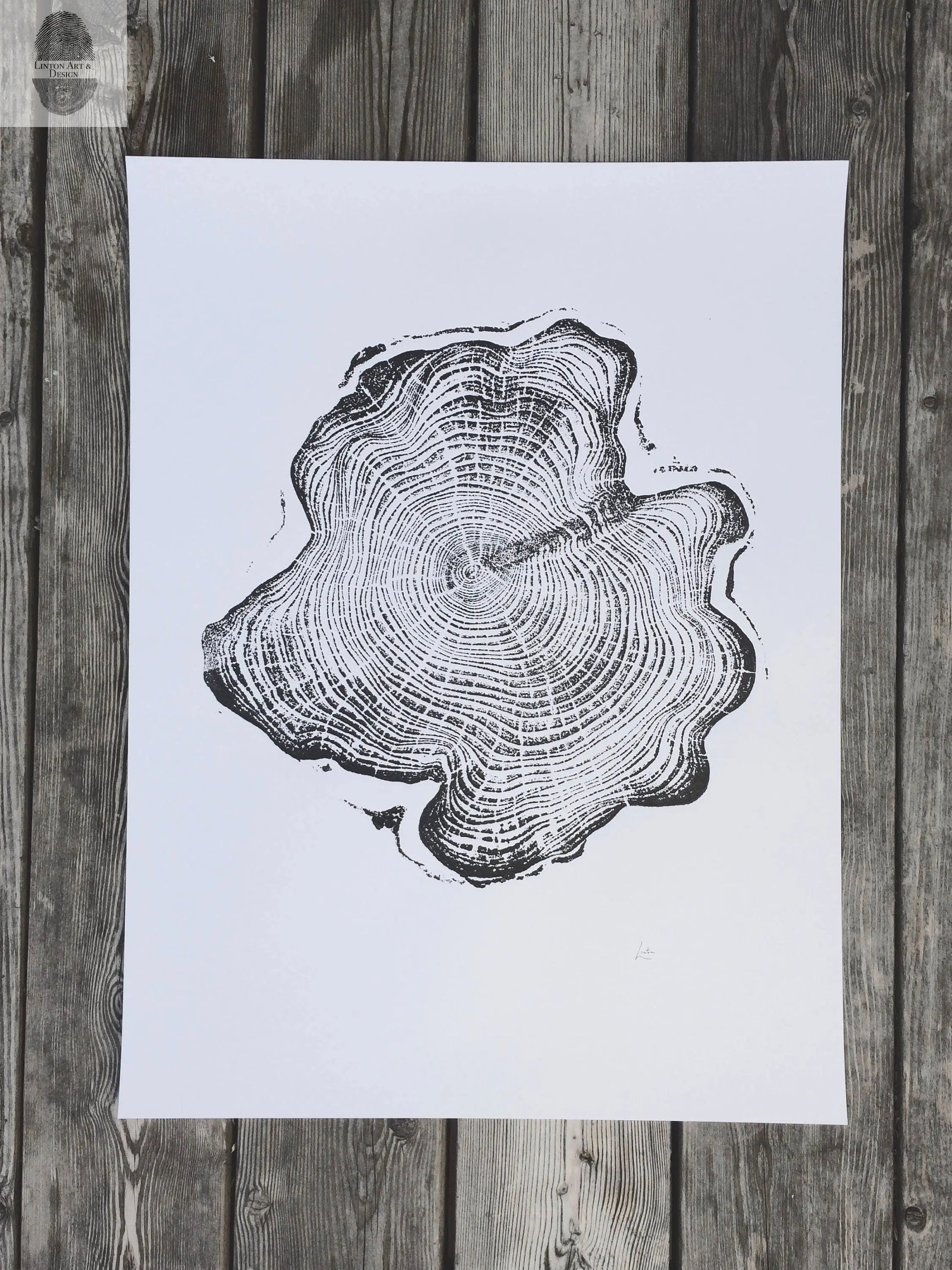 Alaska Cedar, Alaska Art, Denali, Lumber, Shabby Tree, Wood Burning Art, Wood Slice Wall Art lintonart