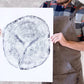 Alaska Cedar, Alaska Art, Denali, Shabby Tree, Tree Ring Print, Forager lintonart