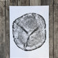 Alaska Cedar, Alaska Art, Denali, Shabby Tree, Tree Ring Print, Forager lintonart