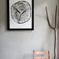 Alaska Cedar, Alaska Art, Denali, Shabby Tree, Tree Ring Print, Forager lintonart