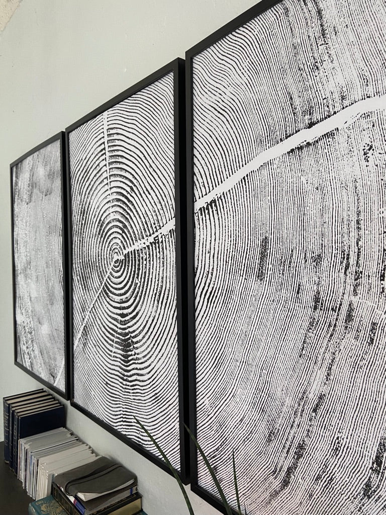 Oregon Coast Sitka Spruce *Cropped* Set of 3 - 24x36 inch giclee prints