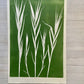 Bamboo Hand Pressed Botanical Monoprint on Green - giclee print lintonart