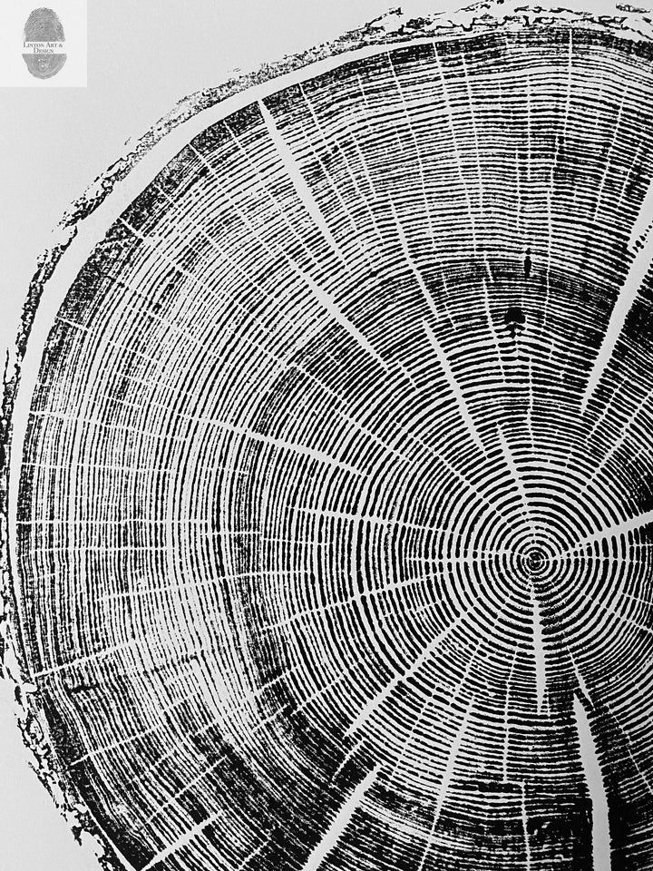 Explore Tree Ring Prints: Nature's History in Rings – lintonart