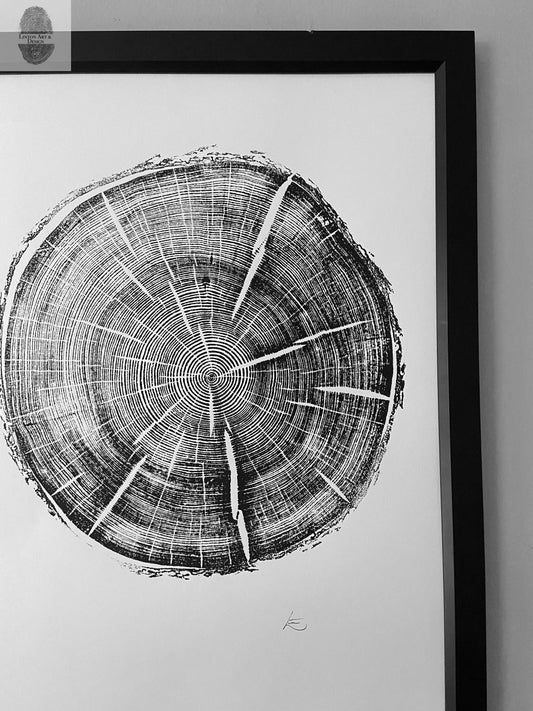 Black Hills South Dakota Woodcut print, Tree Ring Print, Arborist, Forestry, Biology Gift, 18x24 inches, Signed Original lintonart