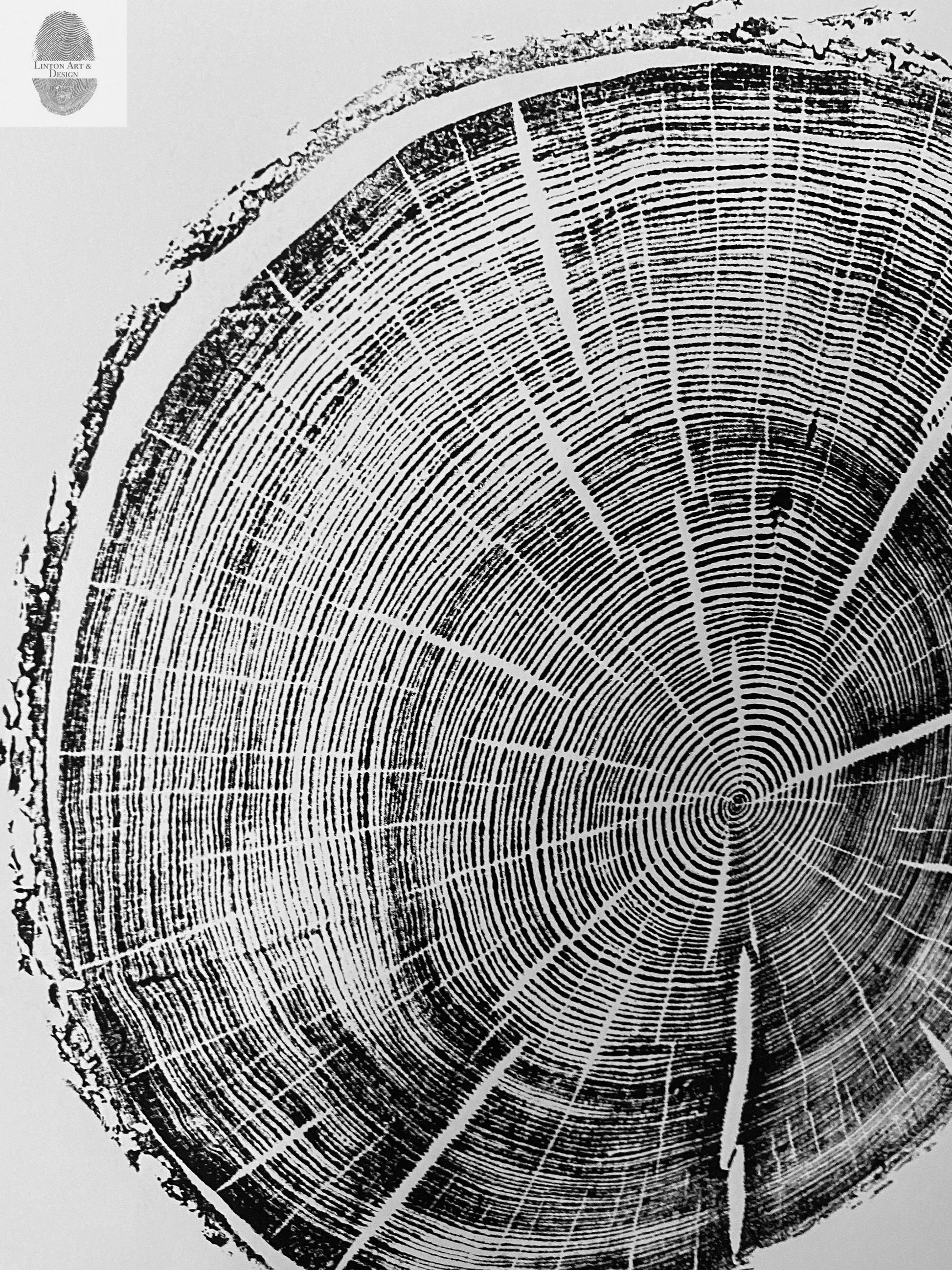 Black Hills South Dakota Woodcut print, Tree Ring Print, Arborist, Forestry, Biology Gift, 18x24 inches, Signed Original lintonart