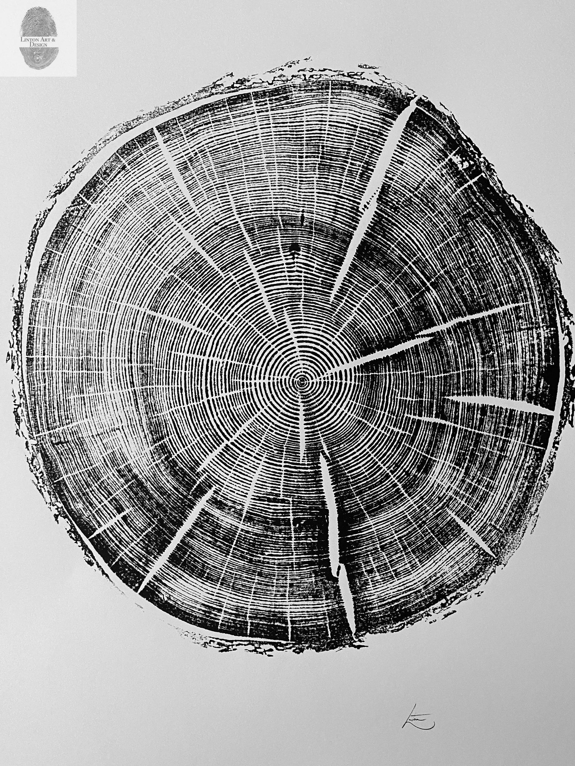 Black Hills South Dakota Woodcut print, Tree Ring Print, Arborist, Forestry, Biology Gift, 18x24 inches, Signed Original lintonart