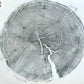 Crater Lake art, Oregon Print, Tree ring print, Woodcut print, Wood Wall art, Sacred Geometry, Forestry, National Parks, Signed Original lintonart