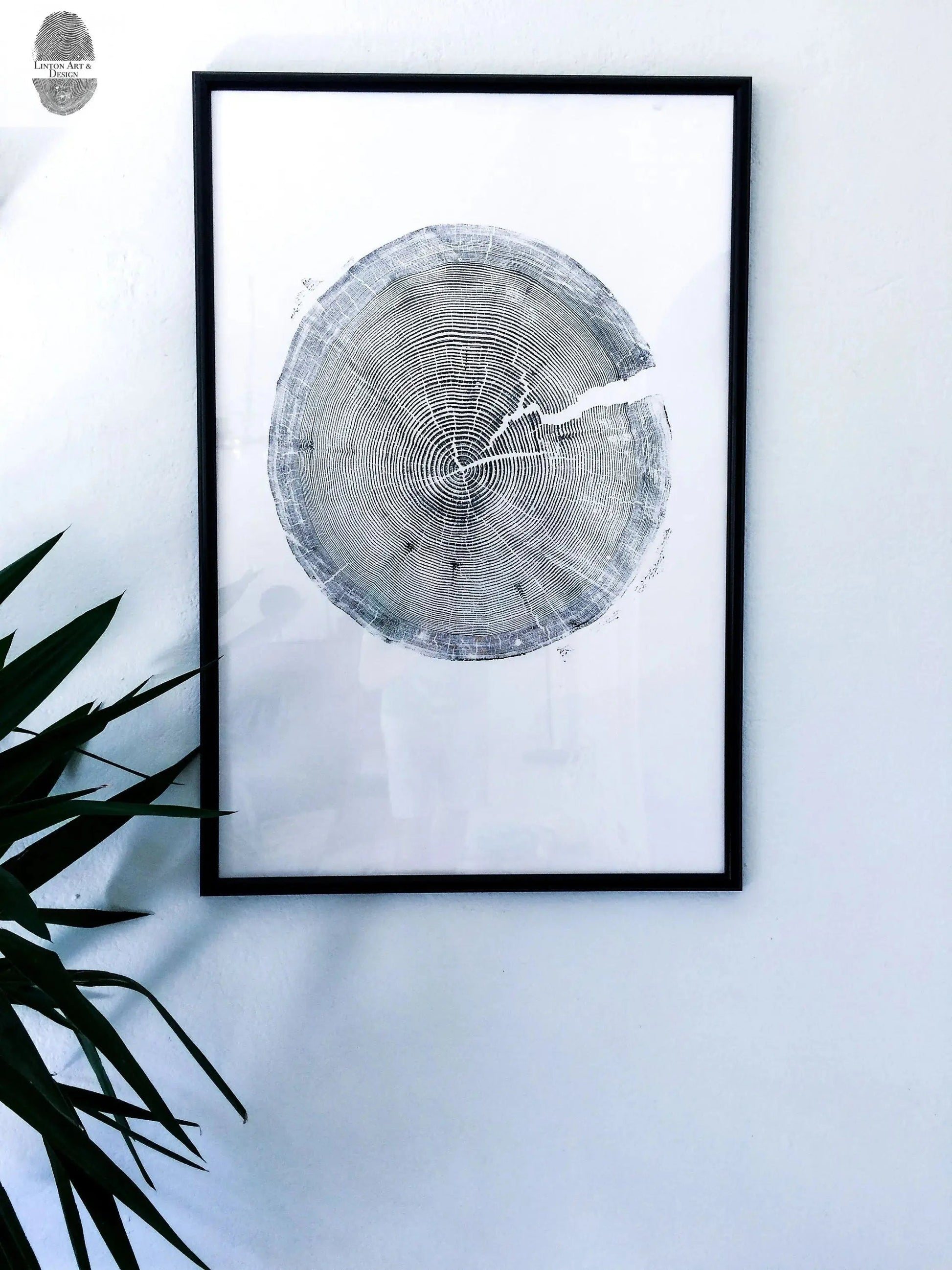 Crater Lake art, Oregon Print, Tree ring print, Woodcut print, Wood Wall art, Sacred Geometry, Forestry, National Parks, Signed Original lintonart