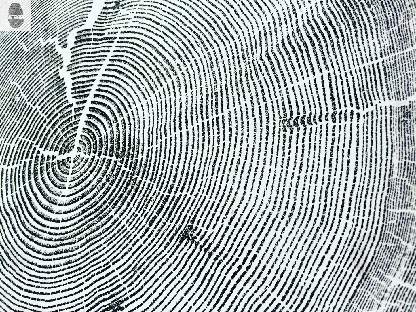 Crater Lake art, Oregon Print, Tree ring print, Woodcut print, Wood Wall art, Sacred Geometry, Forestry, National Parks, Signed Original lintonart