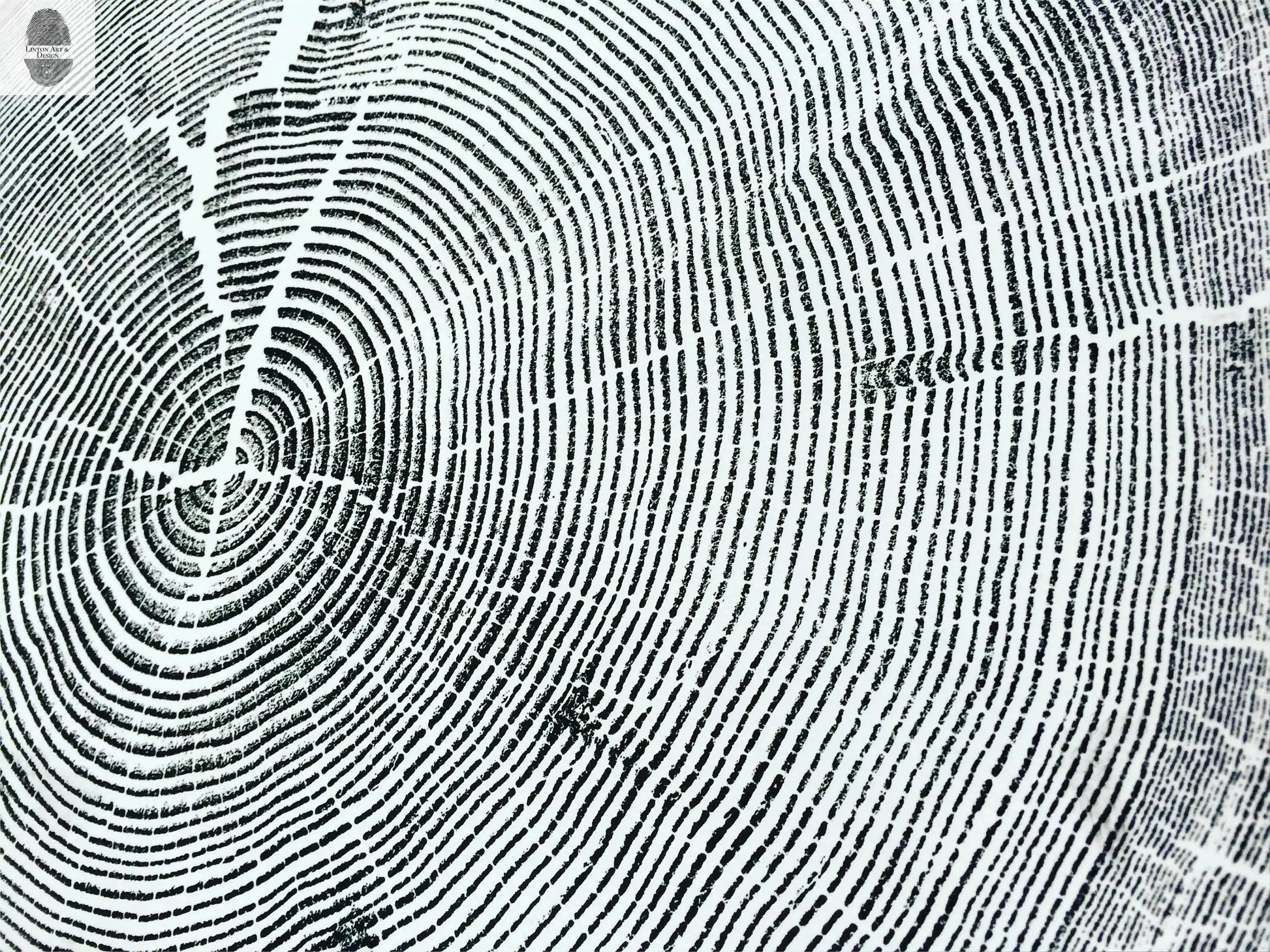 Crater Lake art, Oregon Print, Tree ring print, Woodcut print, Wood Wall art, Sacred Geometry, Forestry, National Parks, Signed Original lintonart