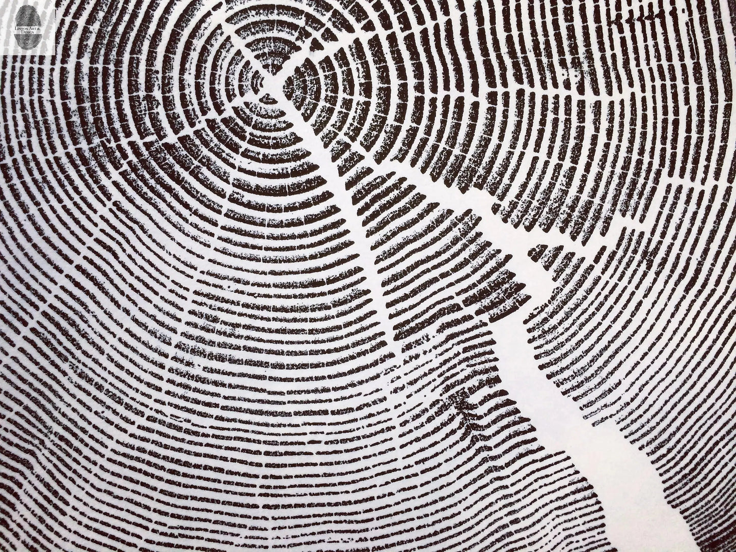 Crater Lake art, Oregon Print, Tree ring print, Woodcut print, Wood Wall art, Sacred Geometry, Forestry, National Parks, Signed Original lintonart