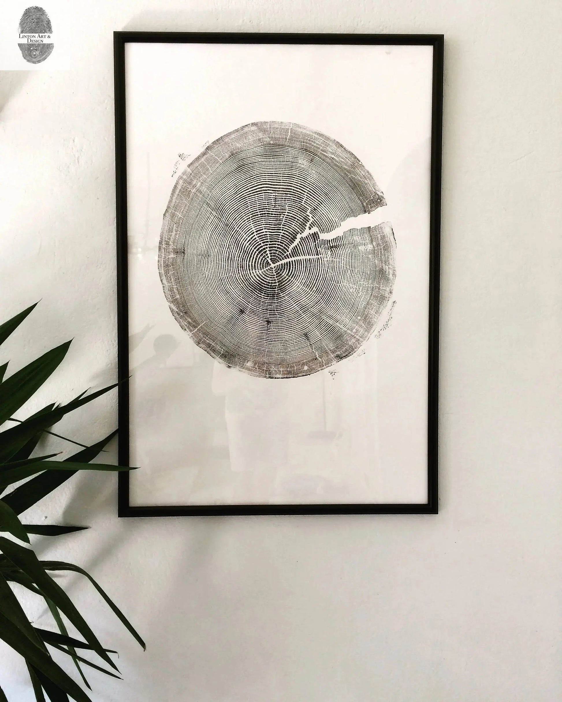 Crater Lake art, Oregon Print, Tree ring print, Woodcut print, Wood Wall art, Sacred Geometry, Forestry, National Parks, Signed Original lintonart