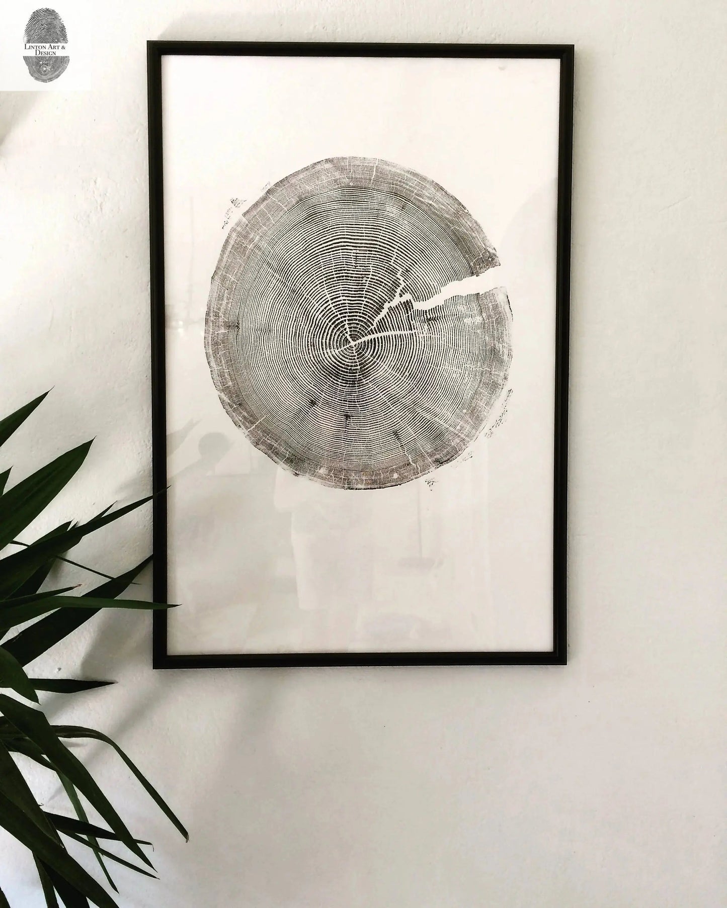 Crater Lake art, Oregon Print, Tree ring print, Woodcut print, Wood Wall art, Sacred Geometry, Forestry, National Parks, Signed Original lintonart