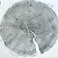 Crater Lake art, Oregon Print, Tree ring print, Woodcut print, Wood Wall art, Sacred Geometry, Forestry, National Parks, Signed Original lintonart