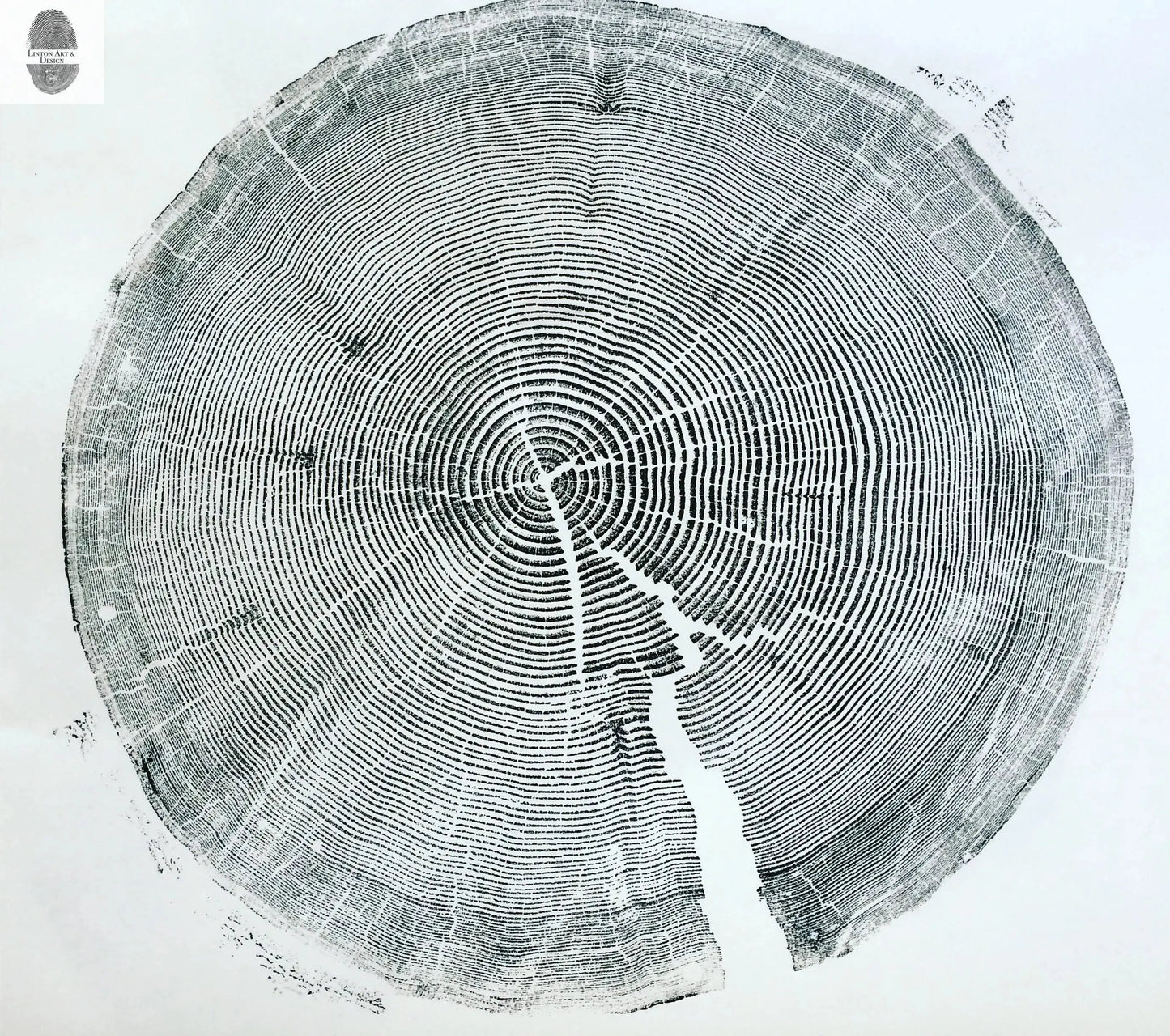 Crater Lake art, Oregon Print, Tree ring print, Woodcut print, Wood Wall art, Sacred Geometry, Forestry, National Parks, Signed Original lintonart