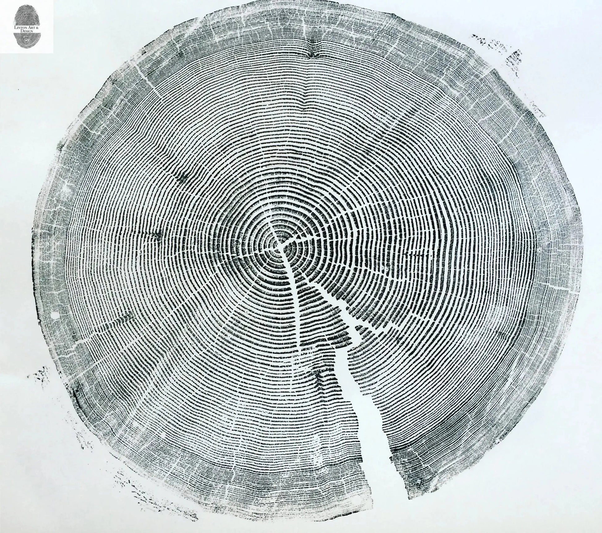 Crater Lake art, Oregon Print, Tree ring print, Woodcut print, Wood Wall art, Sacred Geometry, Forestry, National Parks, Signed Original lintonart