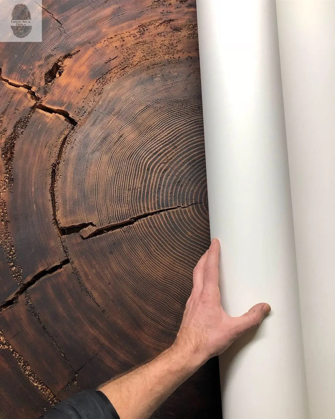 Oregon Coast Sitka Spruce - 52x60 print lintonart