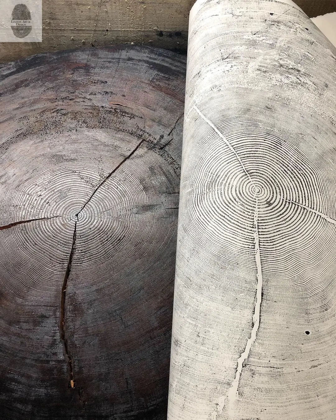 Oregon Coast Sitka Spruce - 52x60 print lintonart