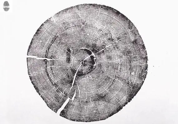 Set of 3, Utah Art, Alaska Art, Ohio State Art, Mulberry Tree, Cedar Tree, Wood Slice Wall Art lintonart